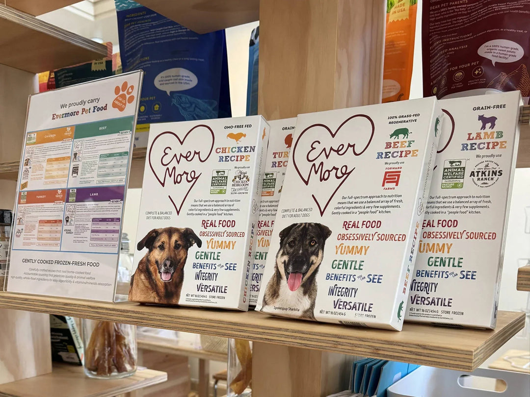 Beyond Kibble: Rethinking How We Nourish Our Dogs