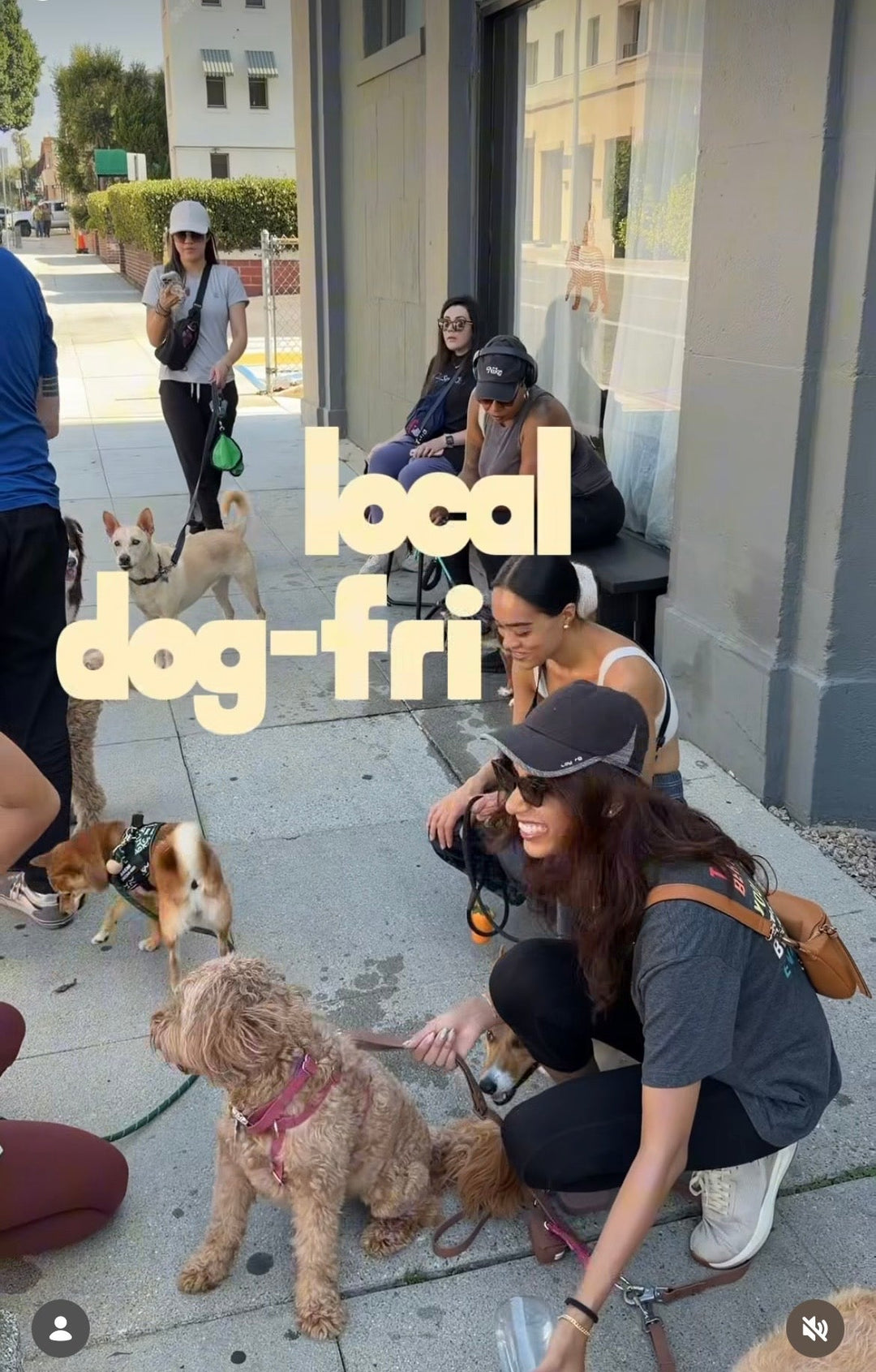 Test Blog Post: Community Events