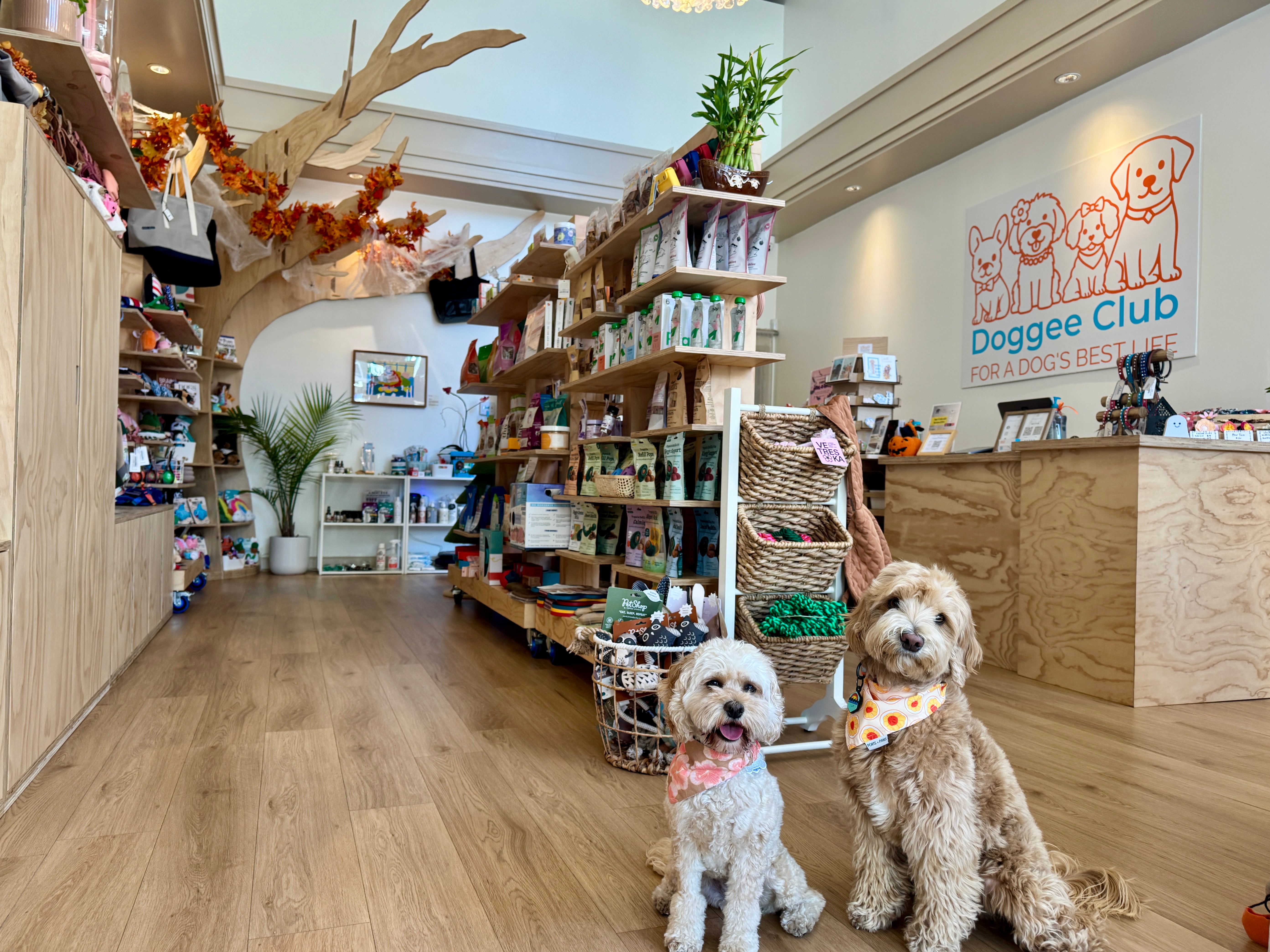 doggee club store