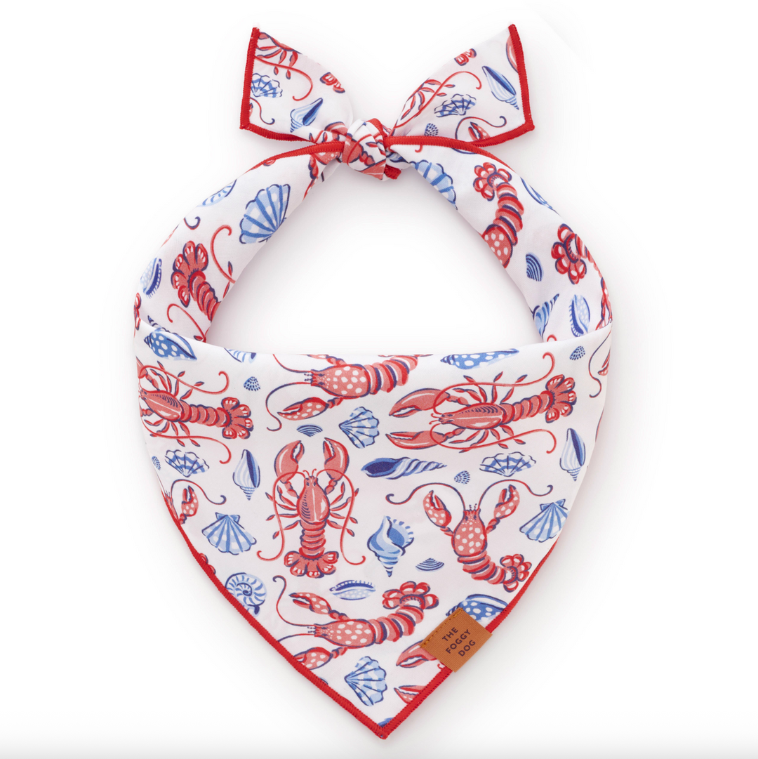 Printfresh x TFD Lobster Landing Dog Bandana