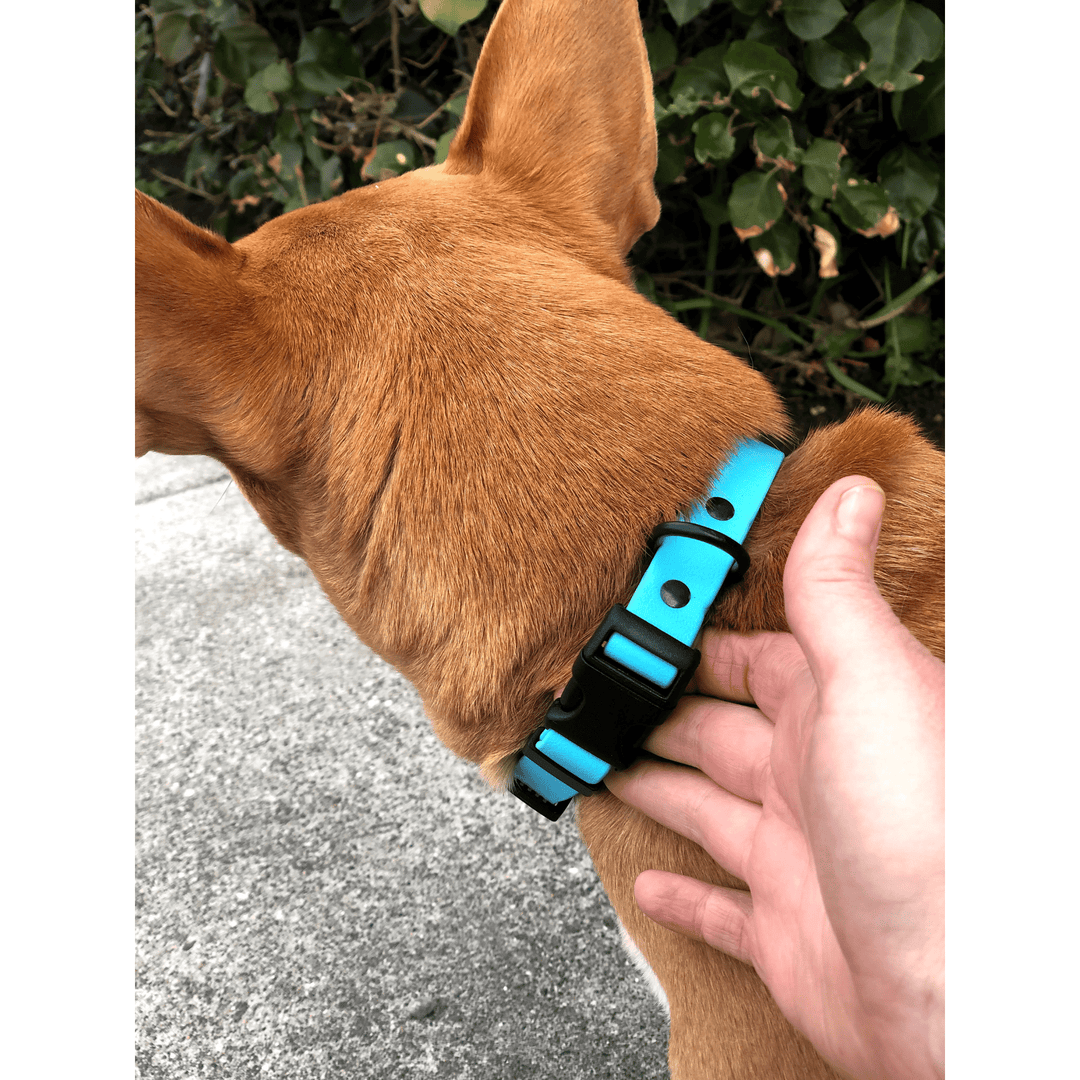 BioThane Collar - Sport (Quick Release Buckle)