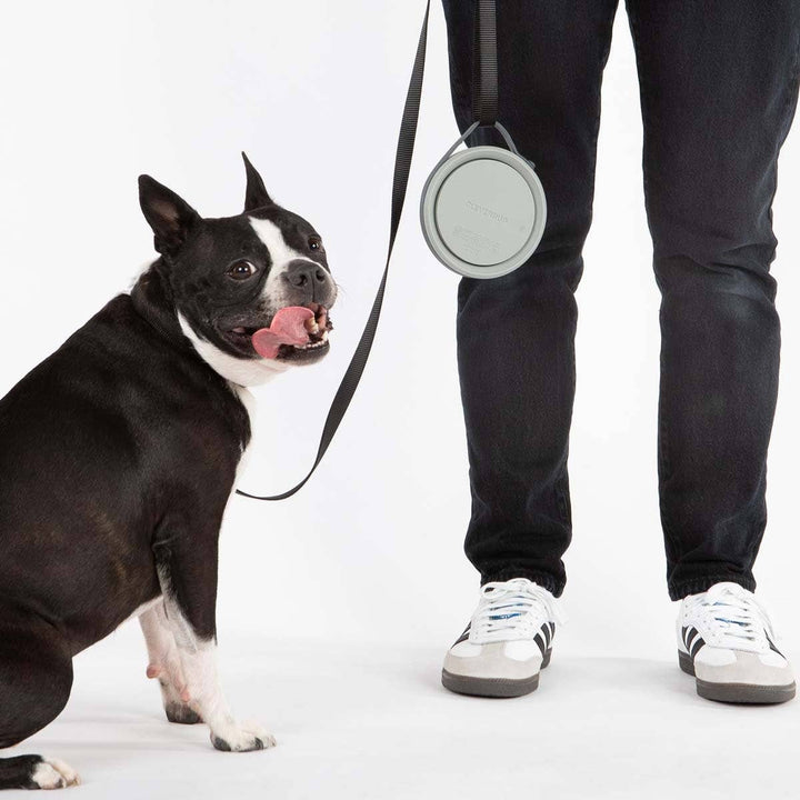 Nomad Collapsible Dog Bowl