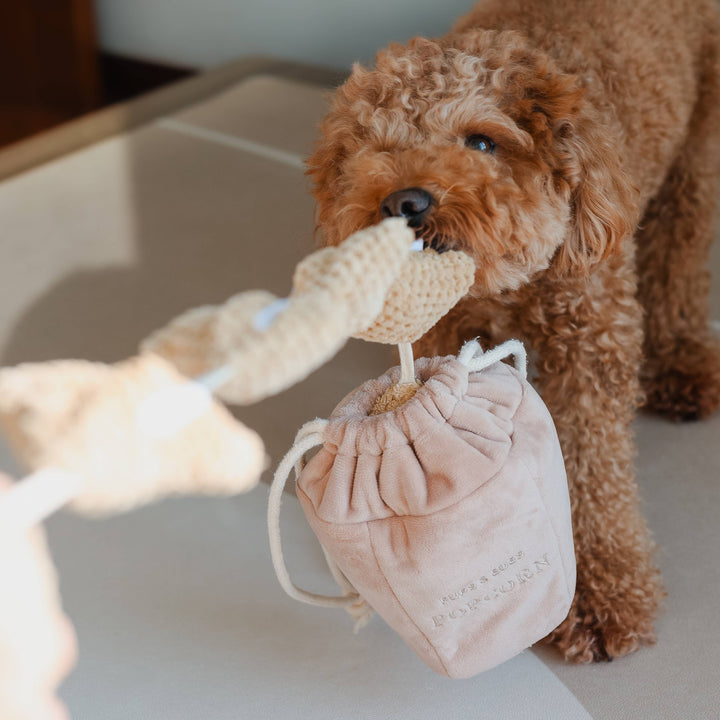 Popcorn Nosework Enrichment Toy | Snuffle | Squeaker