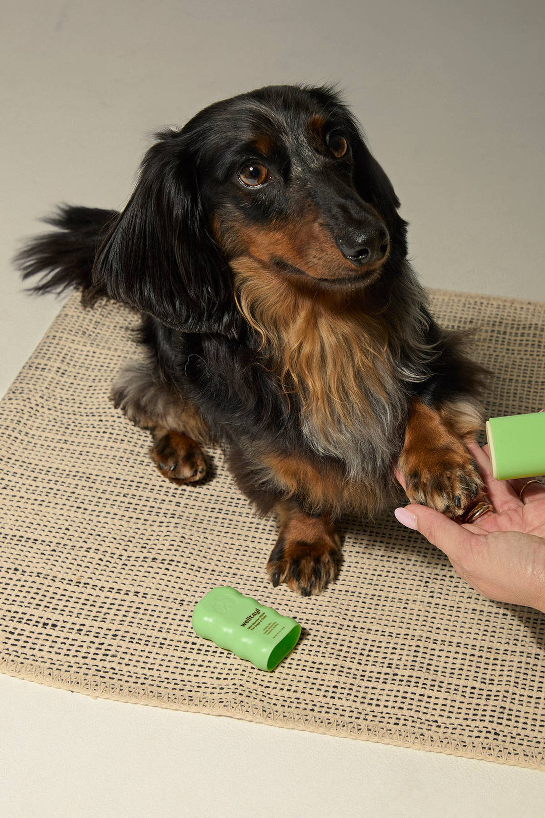 Dog Skin Barrier Stick (Cat-Safe)
