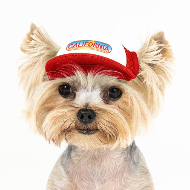 Pasadena Sunset Trucker Hat for Dogs