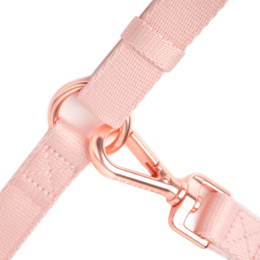 Metro Hands Free Leash – Blush