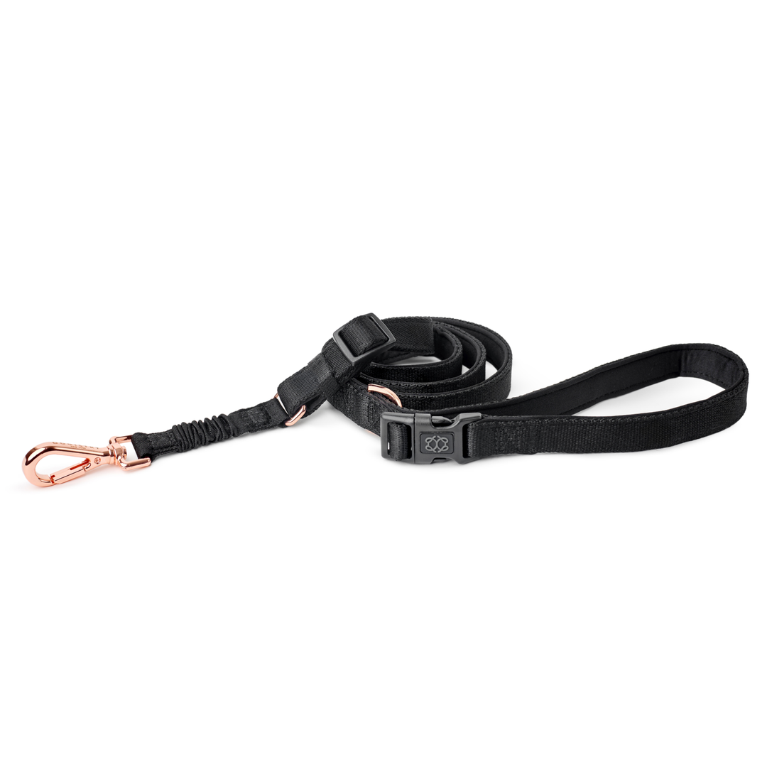 3-in-1 City Dog Leash - Black