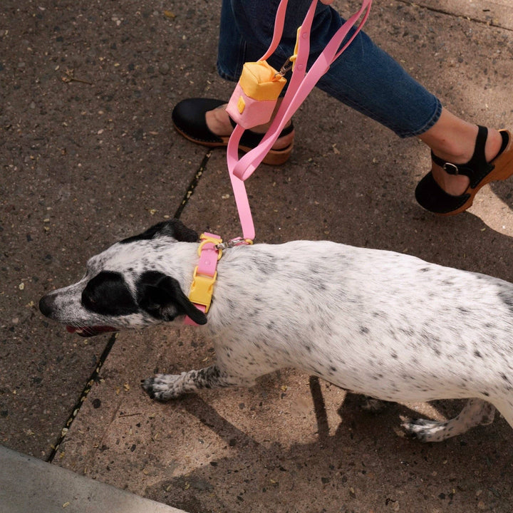 USA - The Fritz Dog Leash | Leash wit Handle | Multi Dog Leash