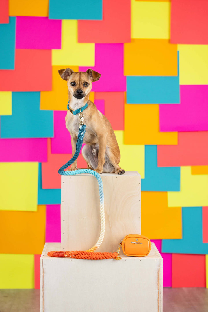 Keanu Orange Vegan Leather Poop Bag Dispenser &amp; Treat Pouch