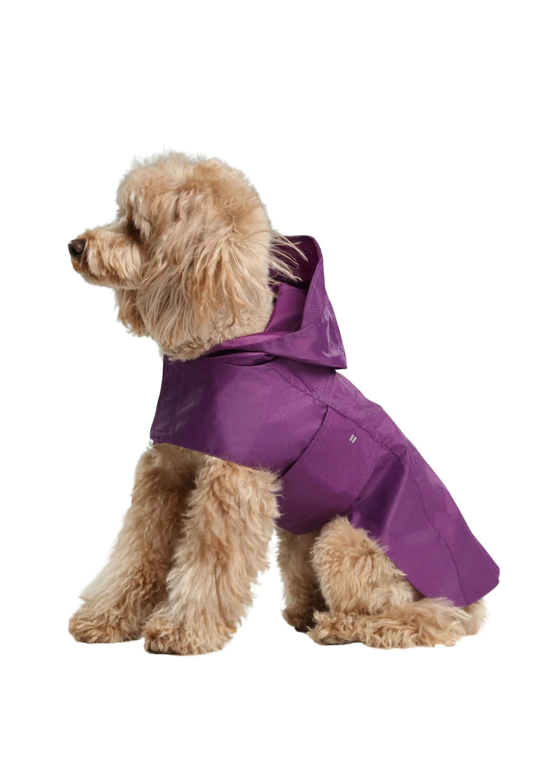 Capsule Raincoat - Purple