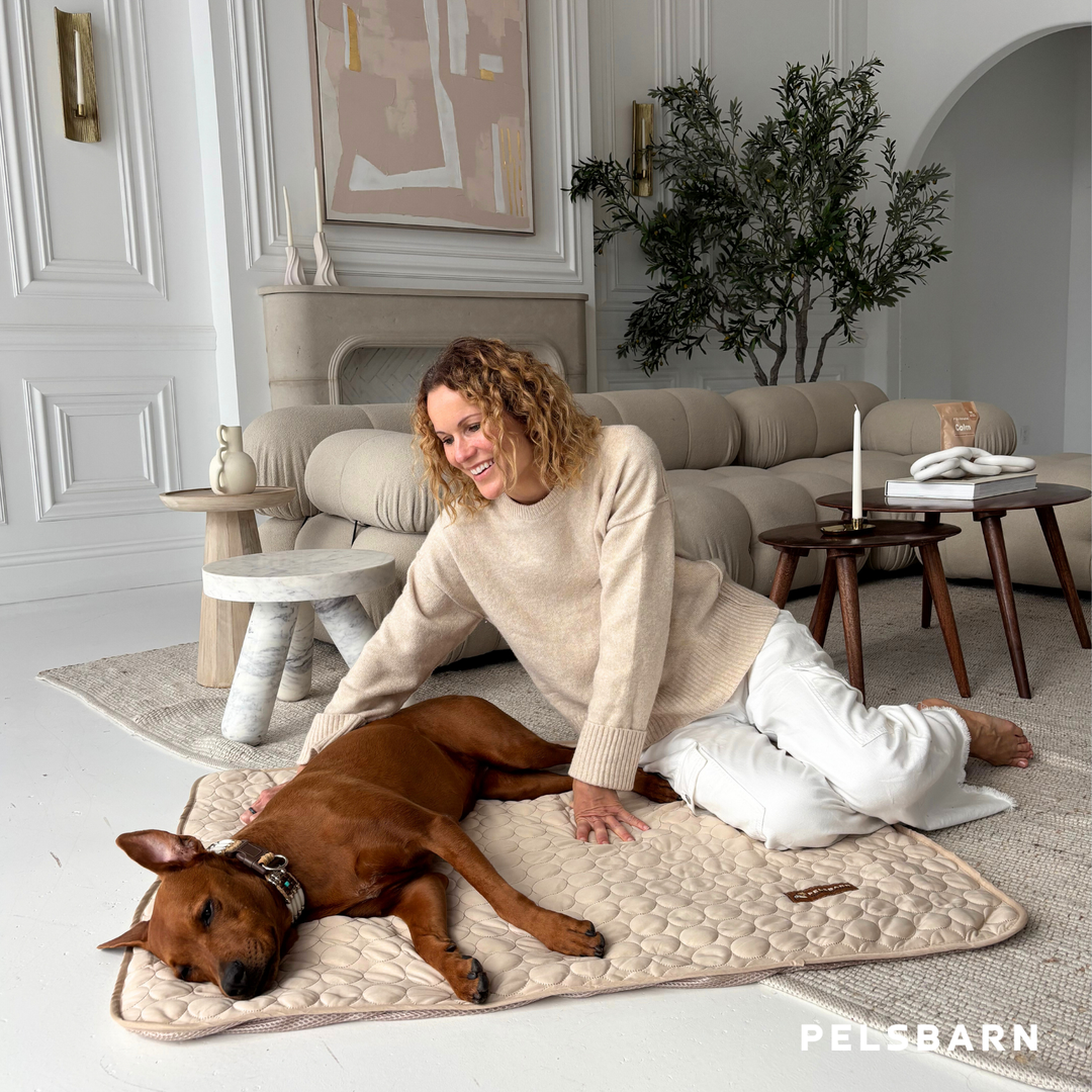 Natural Cooling Mat - Pelsbarn helps shelter dogs!
