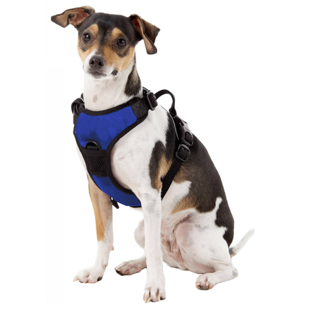 MLB LA Dodgers Front Clip Pet Harness