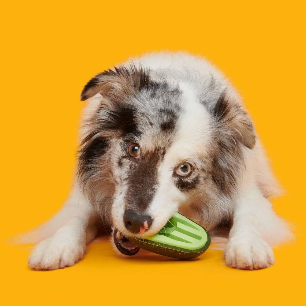 Avocadoggo Super Chewer Dog Toy