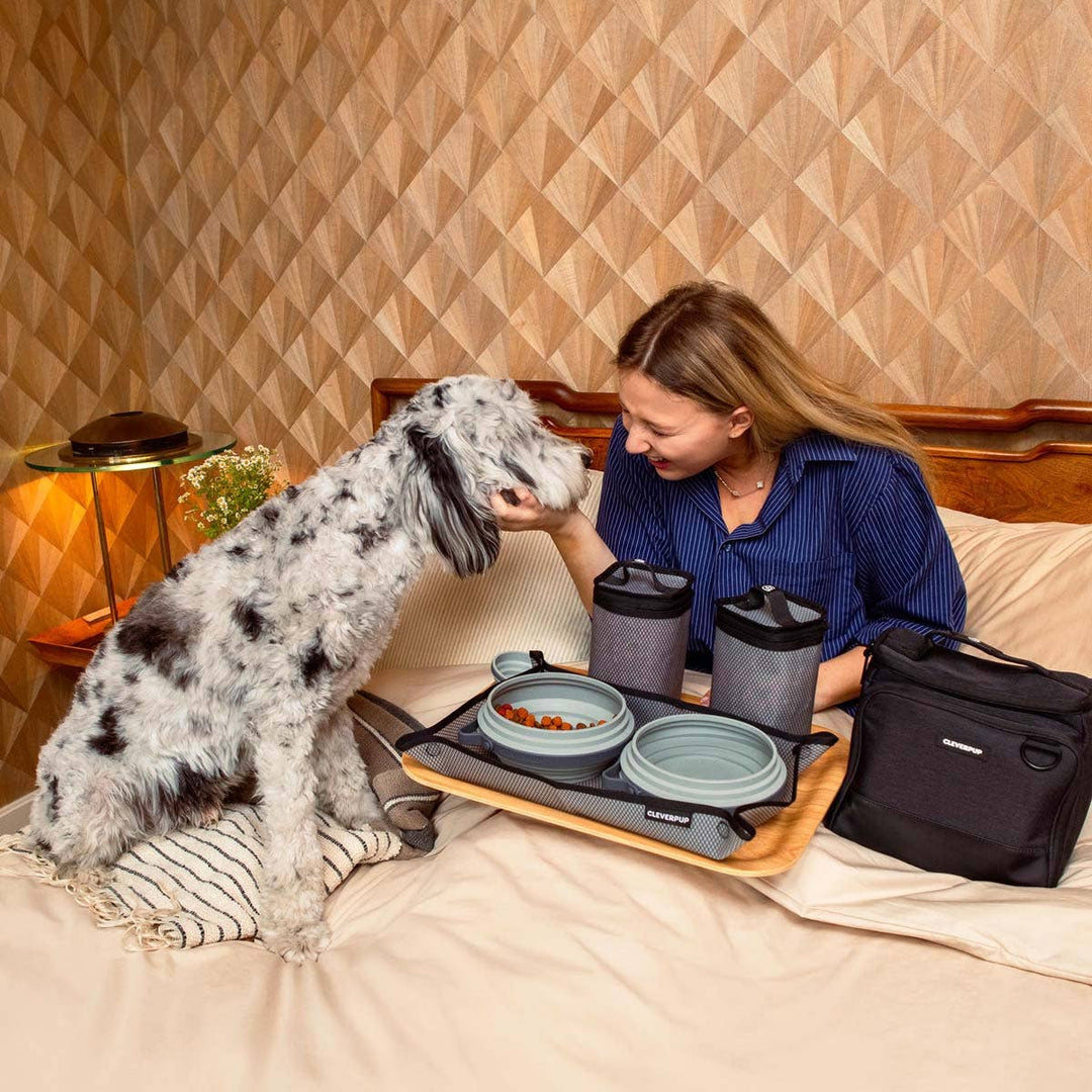 Bistro Box Dog Food Travel Kit