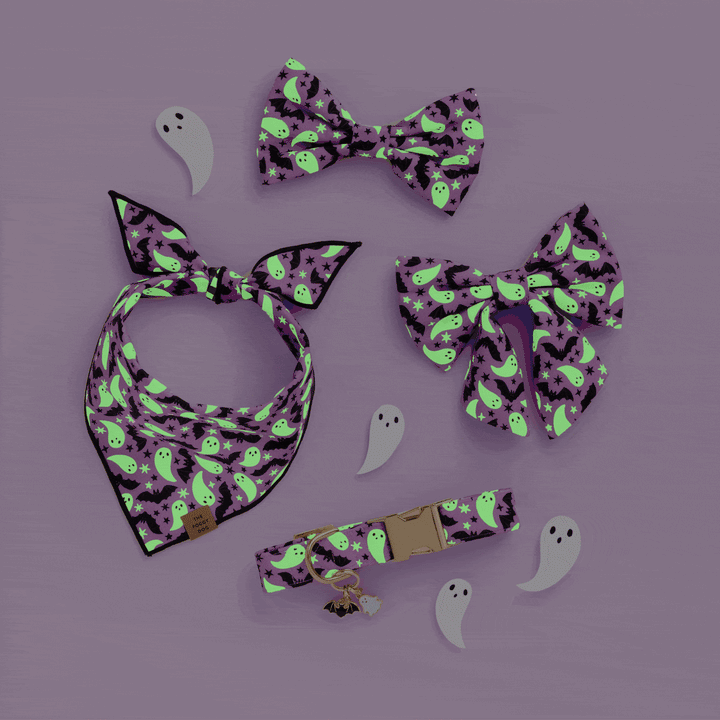 Spooky Season Reversible Dog Bandana
