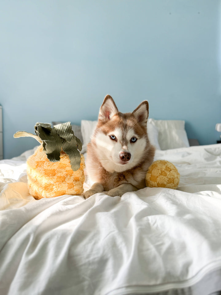 Pineapple Enrichment Dog Toy