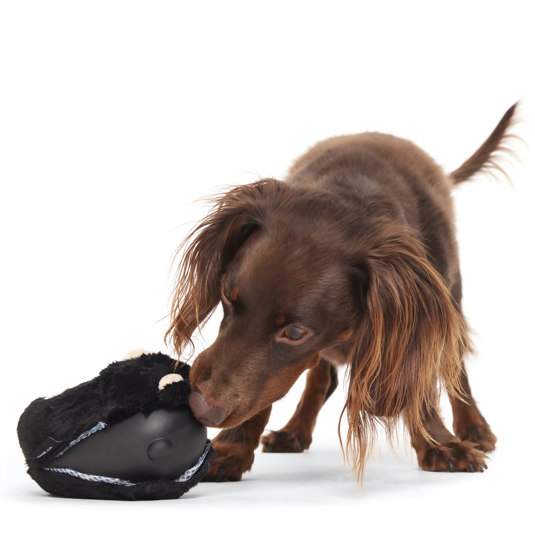Super Chewer Black Bear Bones Dog Chew Toy M/L