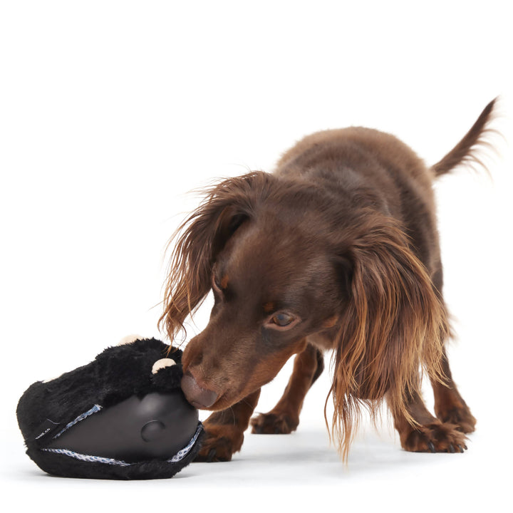 Super Chewer Black Bear Bones Dog Chew Toy M/L