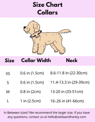 Up Pup &amp; Away Collar + Bow Tie