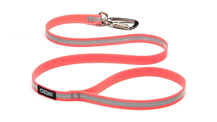 Dry Leash Go Dog Glo™