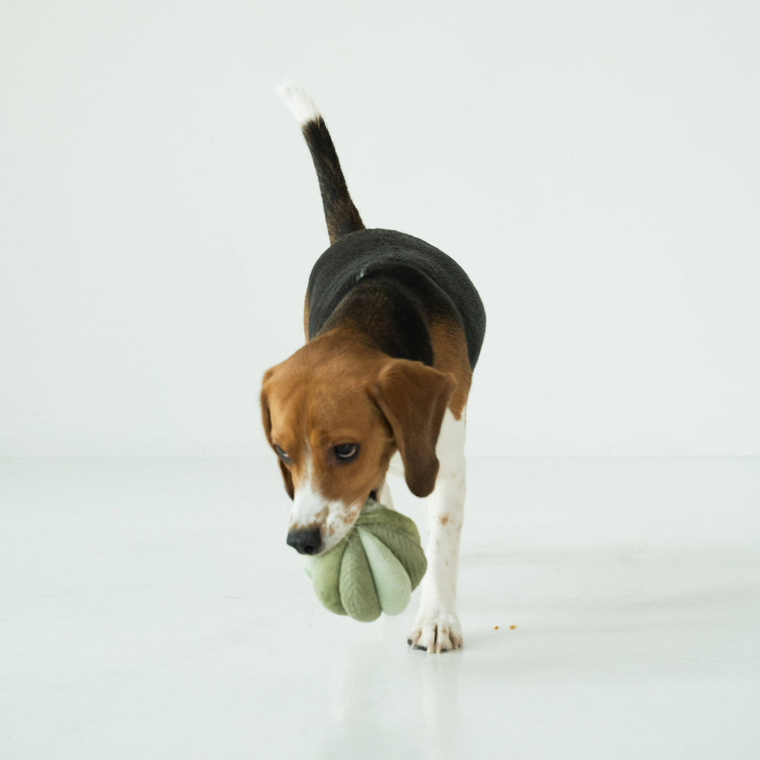Toto Petite Silent Snuffle Ball
