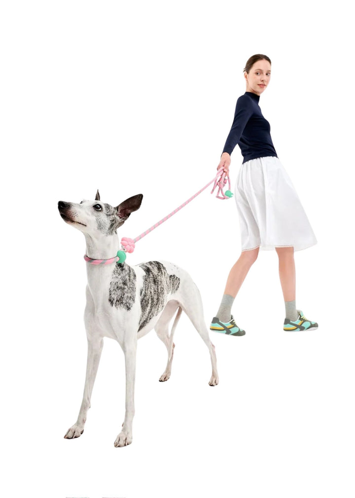 Flora Connect Hands-Free Rope Leash