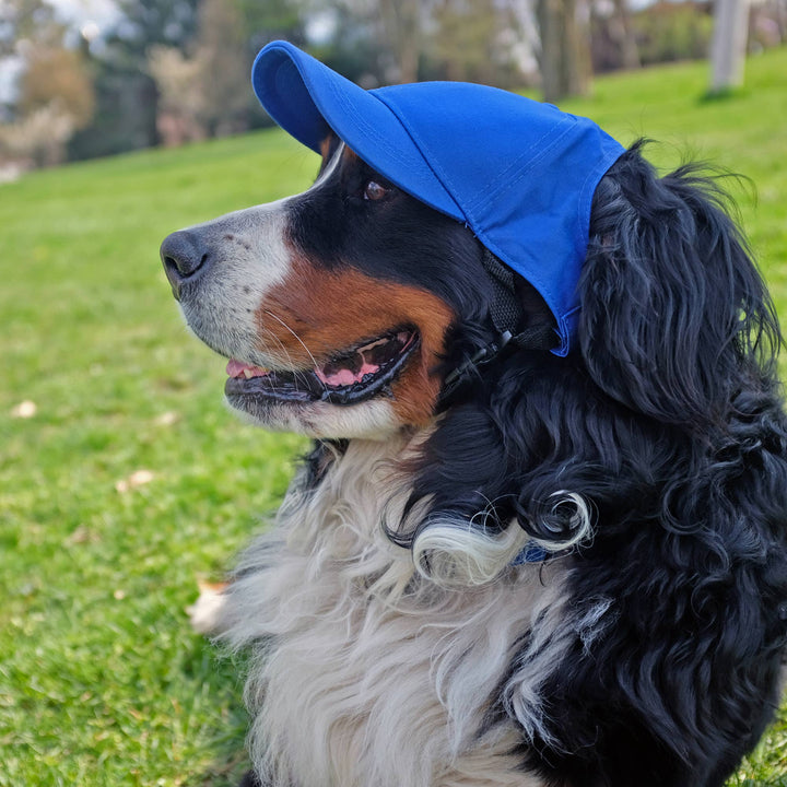 MLB LA Dodgers Pet Baseball Hat