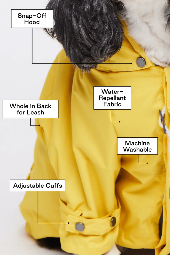 Talon Raincoat for Dogs