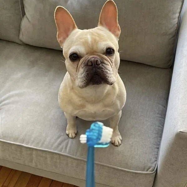 4in1™ Toothbrush