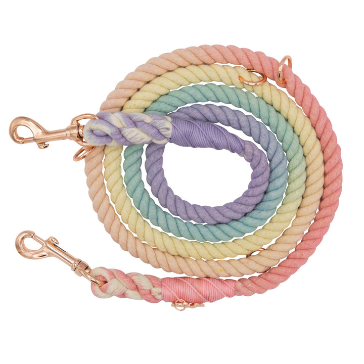 Hands Free Rope Leash Rainbow Bright