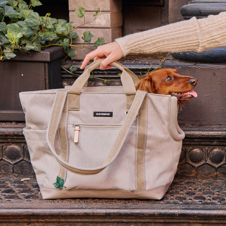 Transit Tote Dog Carrier