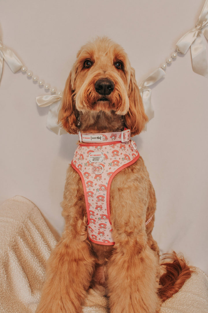 My Melody™ Adjustable Harness