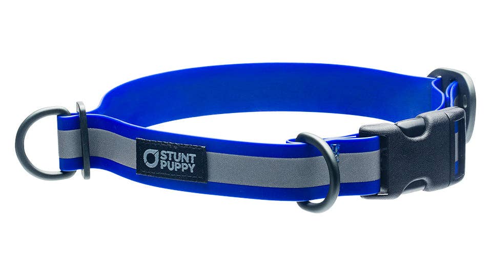 Collar Go Dog Glo Dry