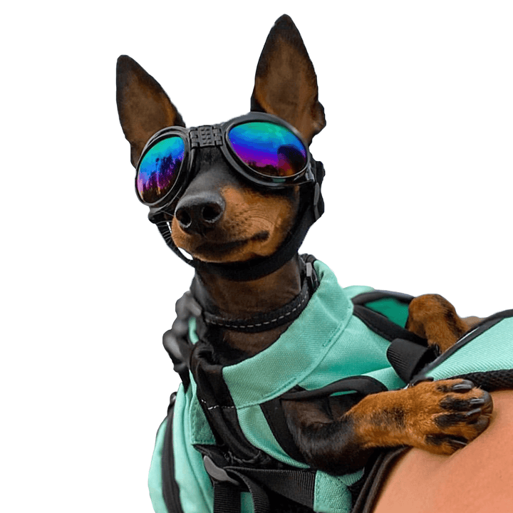 Sport Shades Dog Goggles