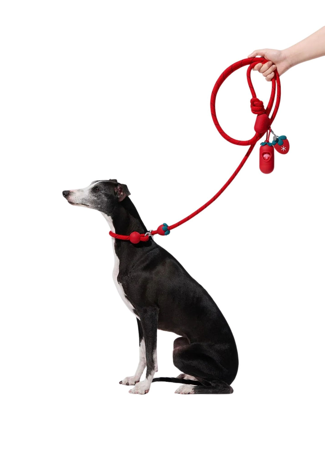 Strawberry Connect Hands-Free Rope Leash