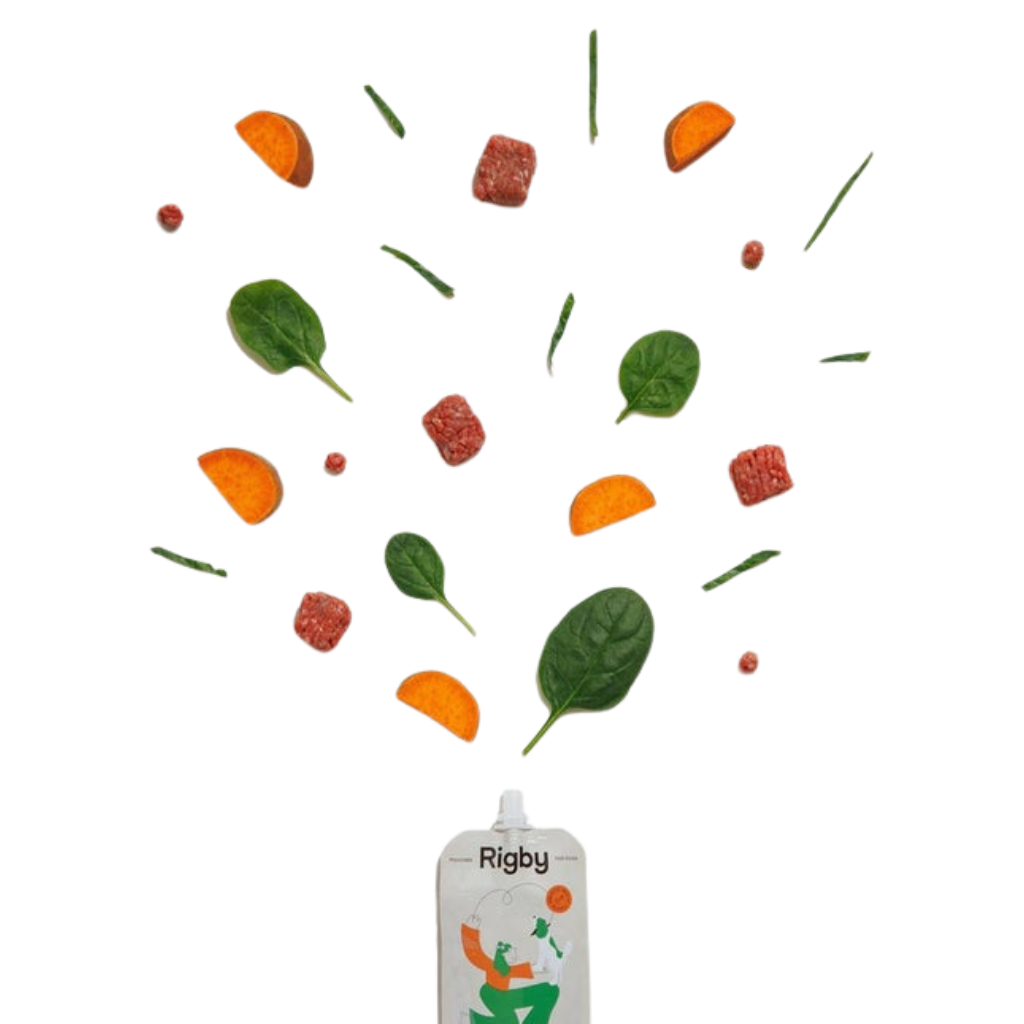 Organic Beef Squeeze Pouch for Dogs