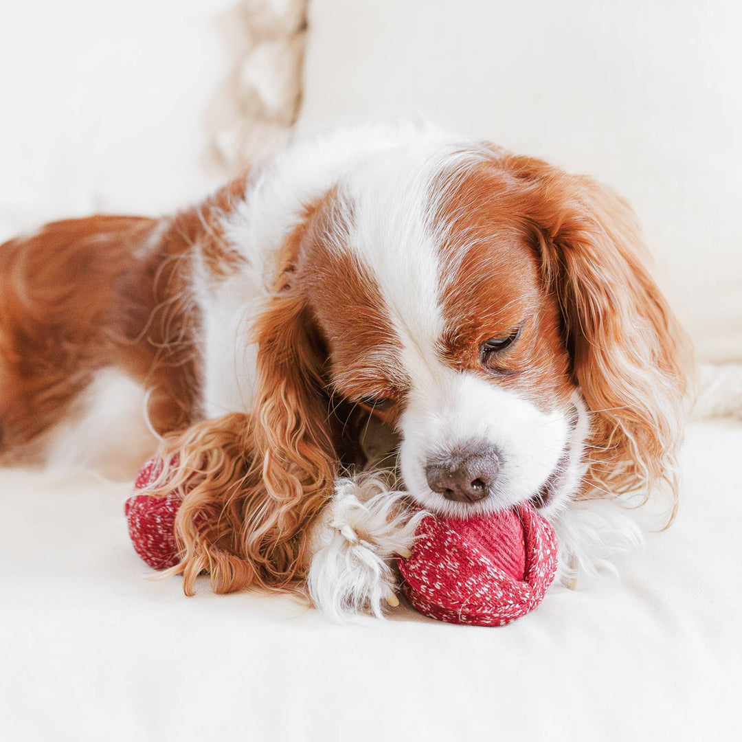 Cherry Pop Enrichment Dog Toy