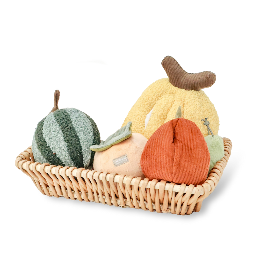 Fruit Set Enrichment Snuffle Toy Set