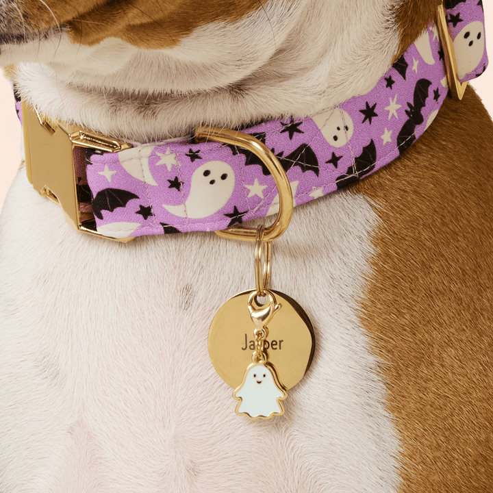 Glow-in-the-Dark Ghost Collar Charm