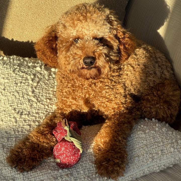Cherry Pop Enrichment Dog Toy