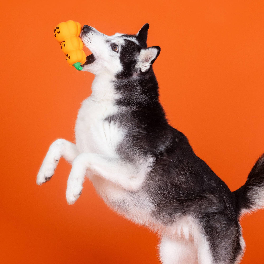 Go Big or Gourd Home Latex Dog Toy