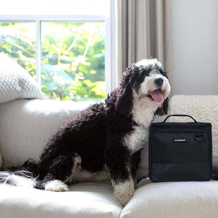 Bistro Box Dog Food Travel Kit