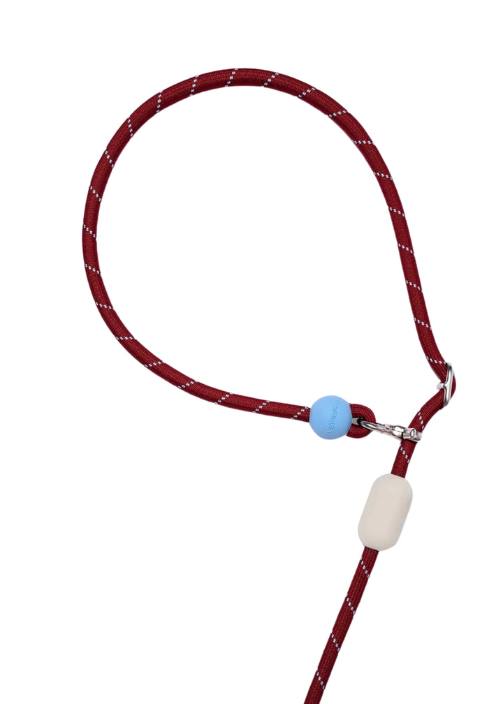 Mist &amp; Merlot Connect Hands-Free Rope Leash