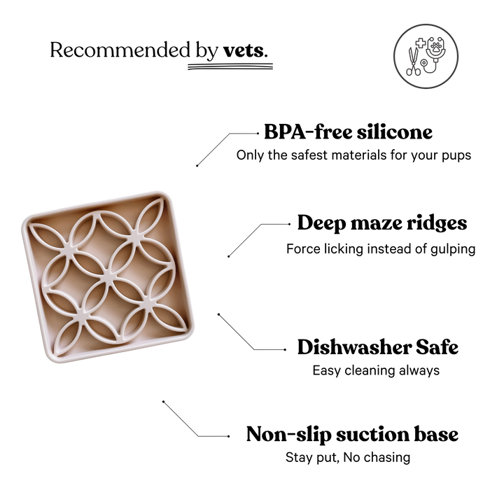 Petite Feeding - Small - Beige