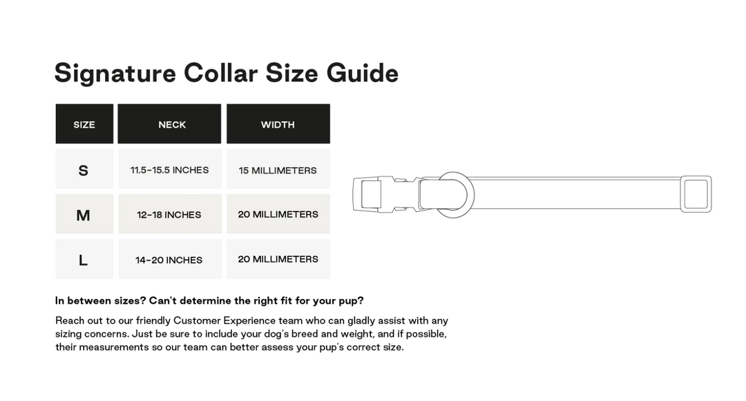 Signature Collar for Dogs