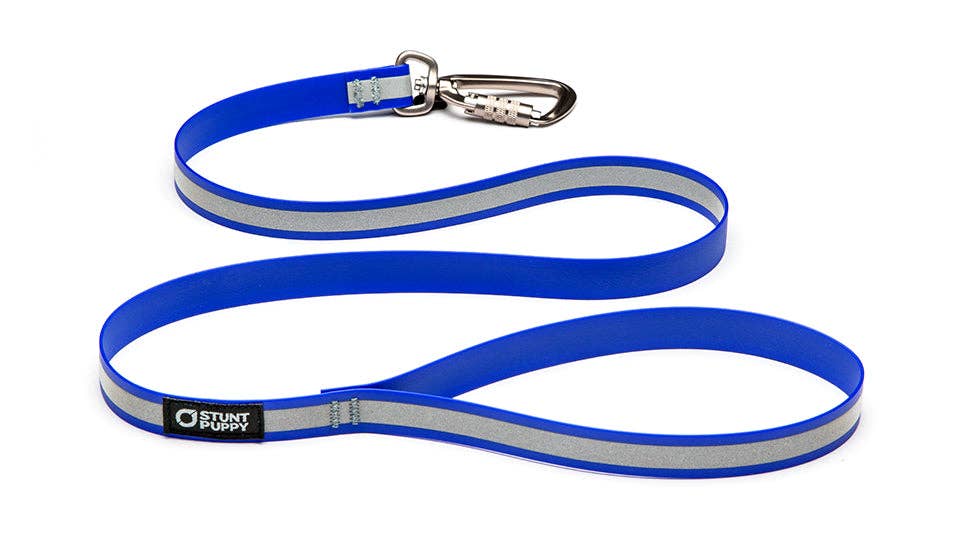 Dry Leash Go Dog Glo™