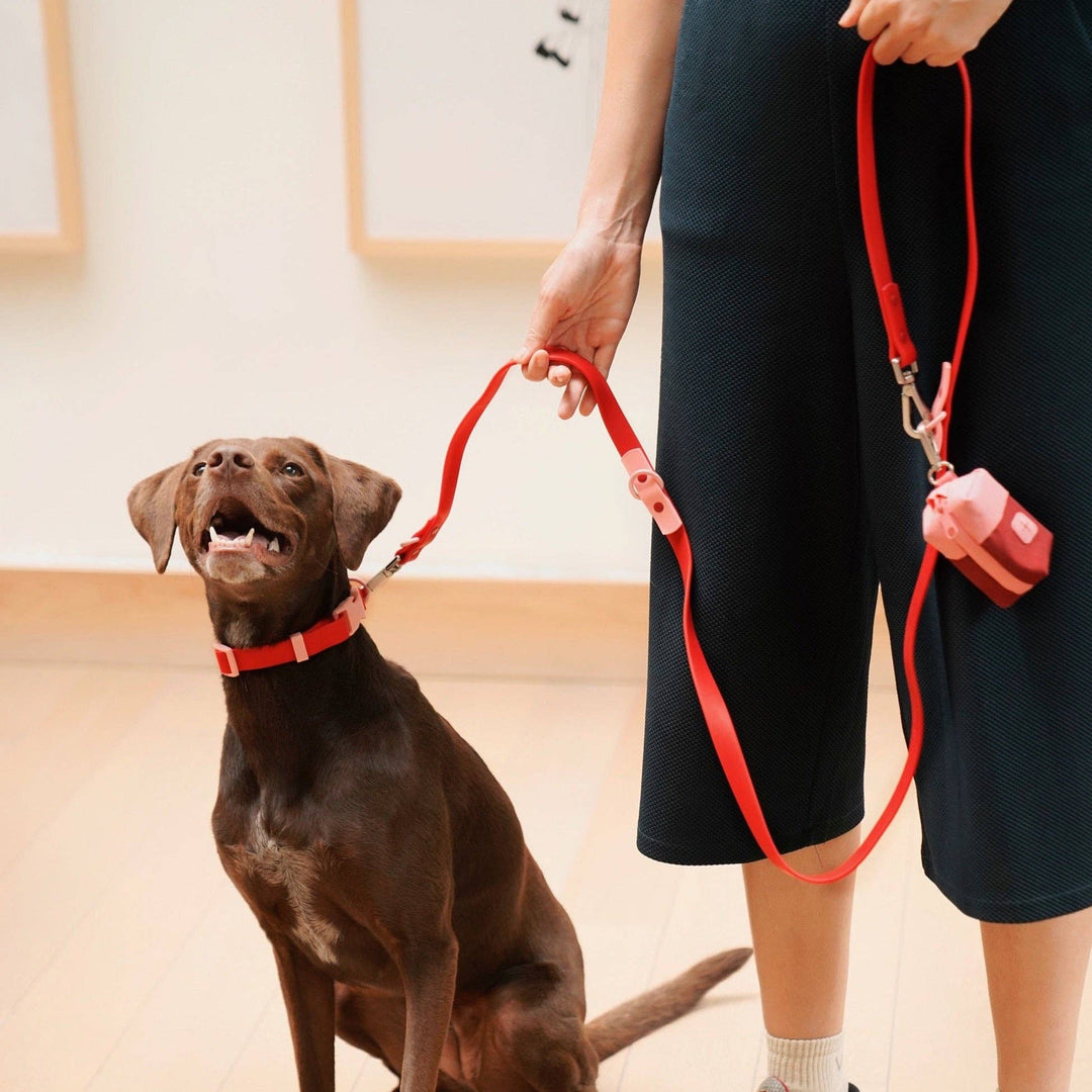 USA - The Fritz Dog Leash | Leash wit Handle | Multi Dog Leash