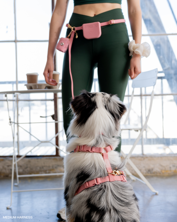 Perfect Pink Snap Dog Treat Pouch