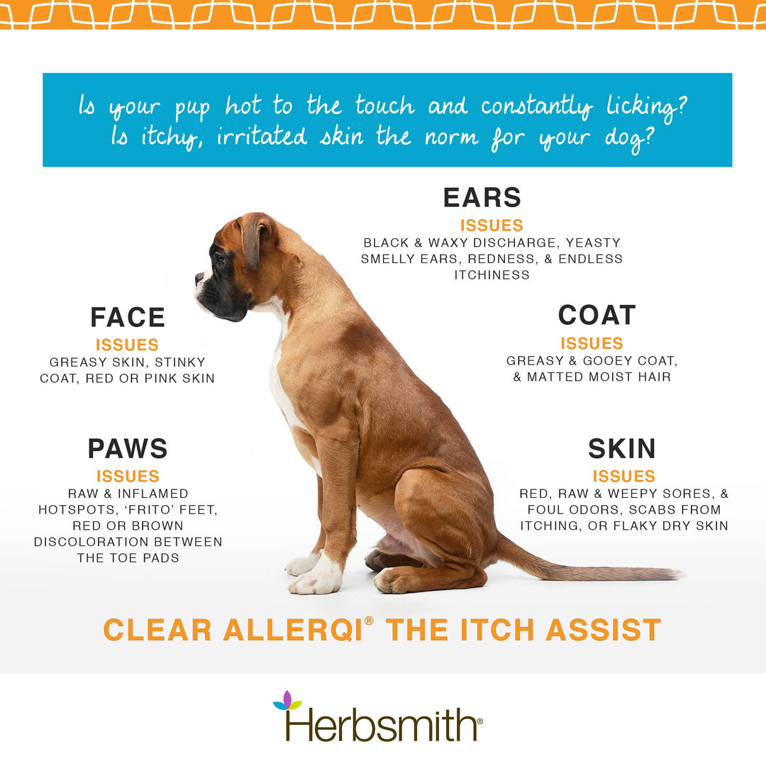 Clear AllerQi Seasonal Allergy Support for Dogs &amp; Cats