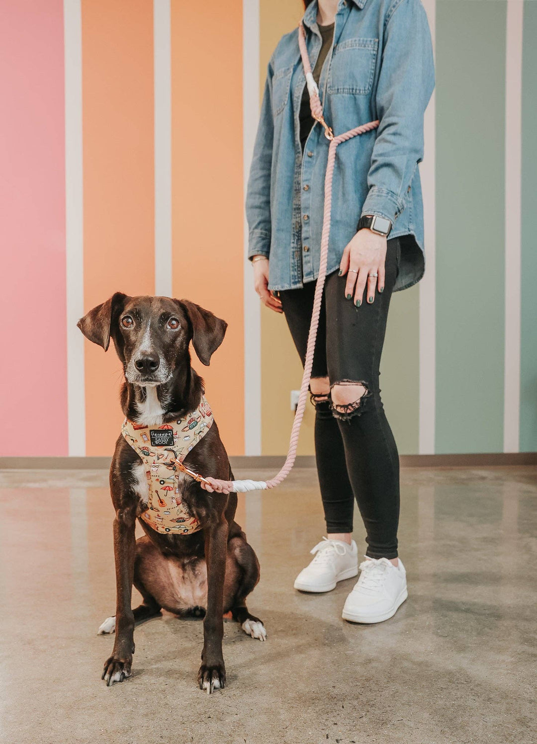 Hands Free Rope Leash Rose All Day